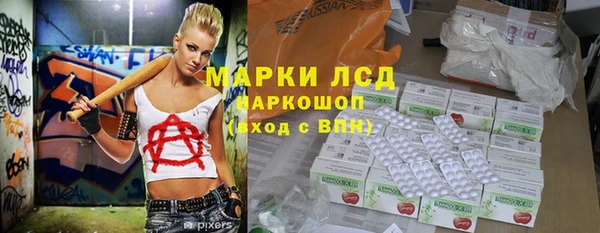 крисы Абаза