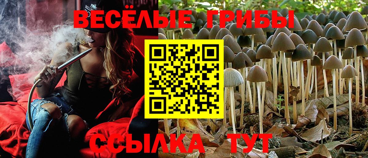 Галлюциногенные грибы прущие грибы  Вход с VPN  Алексин 