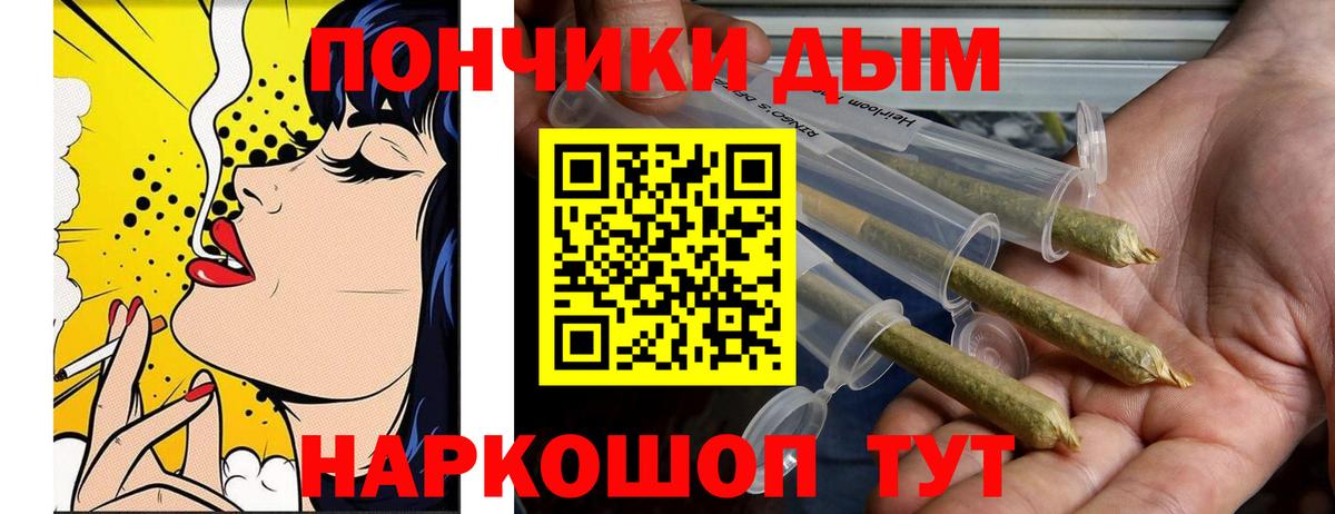 Конопля гибрид Алексин